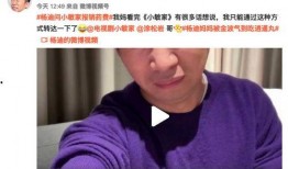 杨迪老婆爆料视频播放,揭秘明星夫妻背后的故事